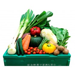 Vegetable Box Mini