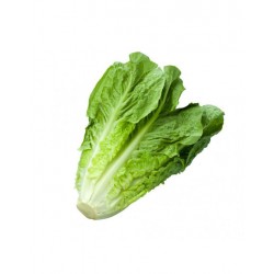 Romaine lettuce (200g)