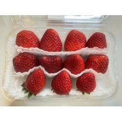 Chitose strawberry (medium...